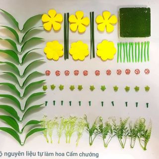 bộ hoa tự làm cẩm chướng. 35k. combo 330k