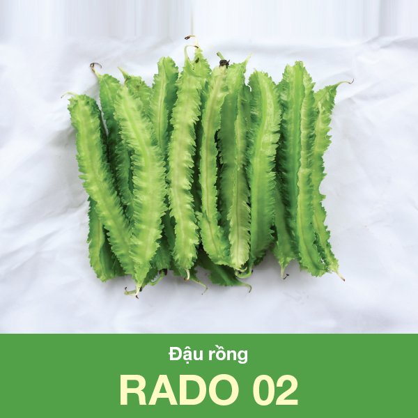 Hạt giống Đậu rồng Rado 02 trồng đậu rồng