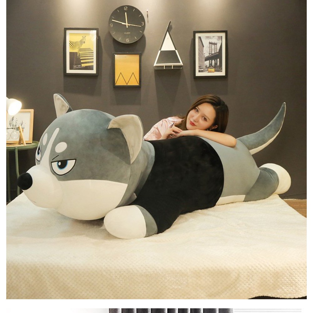 Chó Husky Bông Size 90cm 1m2 Cao Cấp, Gấu Bông Husky Mặt Ngáo Siêu Ngầu