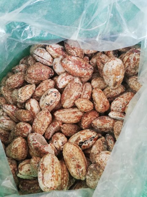 Combo 5kg chuối Tây Bắc nguyên qủa khô sạch