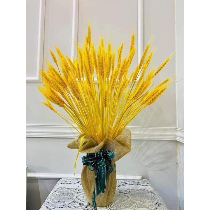 Hoa lúa ép khô trang trí nhà cửa