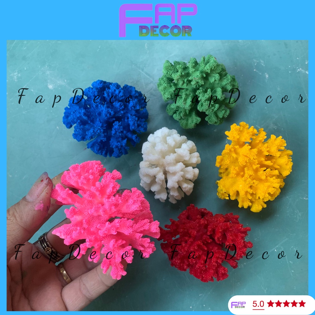 SAN HÔ BÔNG RẠN BIỂN PHONG THỦY MINI PHỐI MÀU SIÊU ĐẸP TRANG TRÍ THỦY SINH BỂ CÁ DECOR BÀN LÀM VIỆC - FAPDECOR
