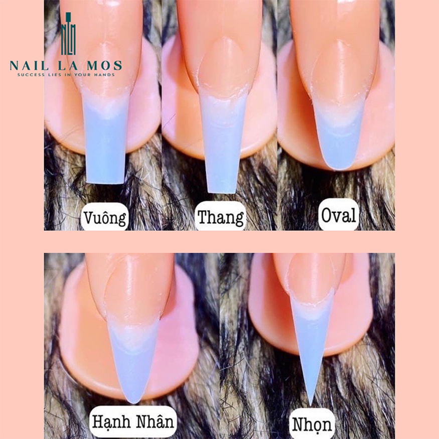 Ngón tay giả học làm nail, tập vẽ gel đắp móng chuyên dụng (mẫu mới)