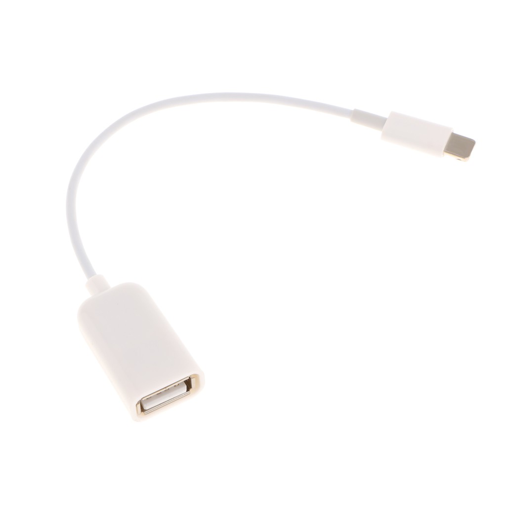 USB Female OTG Adapter Cable Connect Convert Lead for Ipad iPhone Below 10.3 | BigBuy360 - bigbuy360.vn