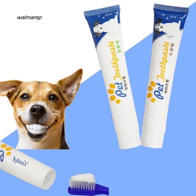 Kem đánh răng thơm miệng cho chó mèo  - Lida Pet Shop