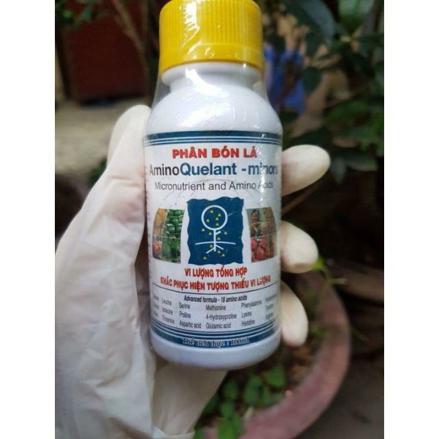 Bộ ba phân bón vi lượng tổng hợp AminoQuelant-minors, siêu to lá Terra-Sorb foliar, bổ sung sắt AminoQuelant-Fe