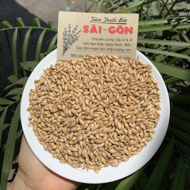 TIỂU MẠCH 100GRAM