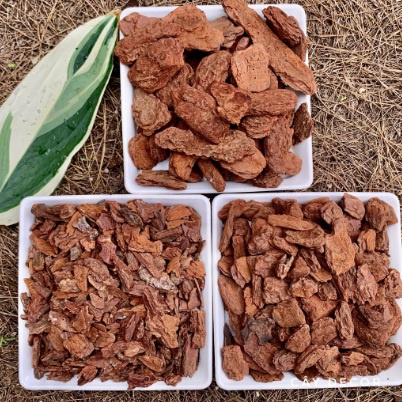 Vỏ thông trồng lan, kiểng lá ABE Bark, hàng nhập khẩu nhiều kích cỡ