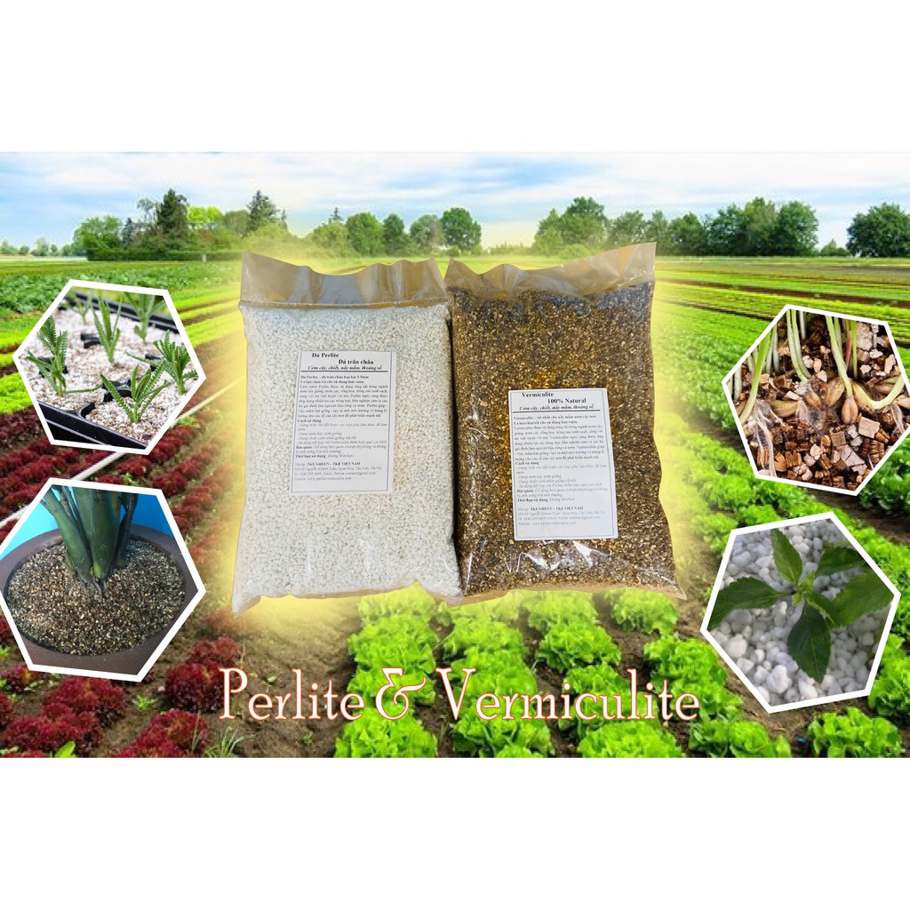 Vermiculite - 600g ( 5 lít) ươm cây làm vườn tốt nhất