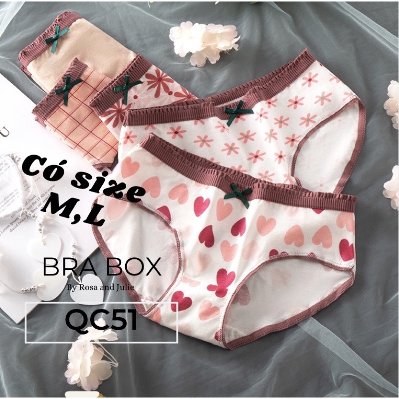 Quần lót nữ cotton Quảng Châu, quần chip dễ thương CÓ SIZE  QC51 BRABOX | BigBuy360 - bigbuy360.vn