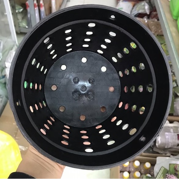 Làm Vườn Combo 10 Chậu Nhựa Đen Nhiều Lỗ Trồng Lan Phi 17 cm