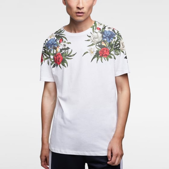 zara authentic