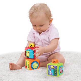 HỘP THÚ CƯNG VUI NHỘN WINFUN