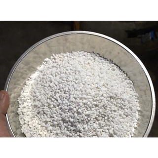 Đá perlite trồng sen giúp cây thoát nước tốt