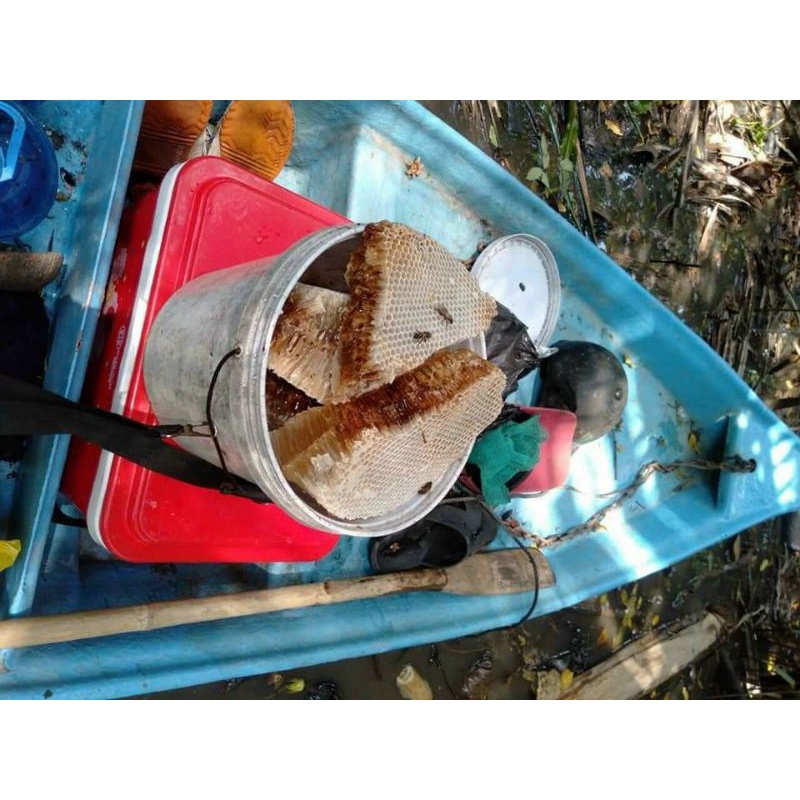 mật ong rừng nguyên chất