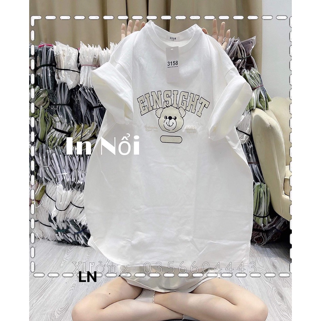 Áo phông gấu einsight chất cotton khô 5L8N