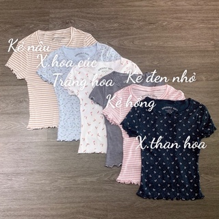 Áo thun gân Aero xuất dư xịn