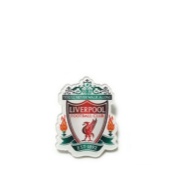 Huy hiệu gài áo cao cấp sắc nét mẫu mới, quà tặng bạn bè