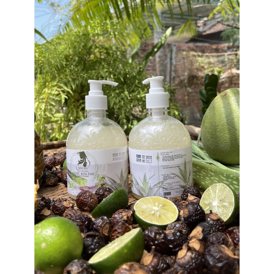 (HCM) Xà Bông Rửa Tay Quế Nha Đam Bồ Hòn 500ml 100% Thiên Nhiên Diệt Khuẩn Bảo Vệ Da Tay Có Giấy Chứng Nhận Xét Nghiệm