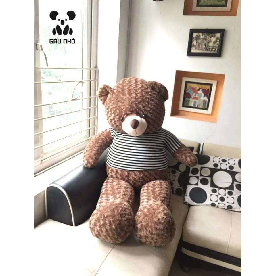 Gấu Teddy Siêu To Khổng Lồ 1M5 - 1M8 - Shop Gấu Nhỏ