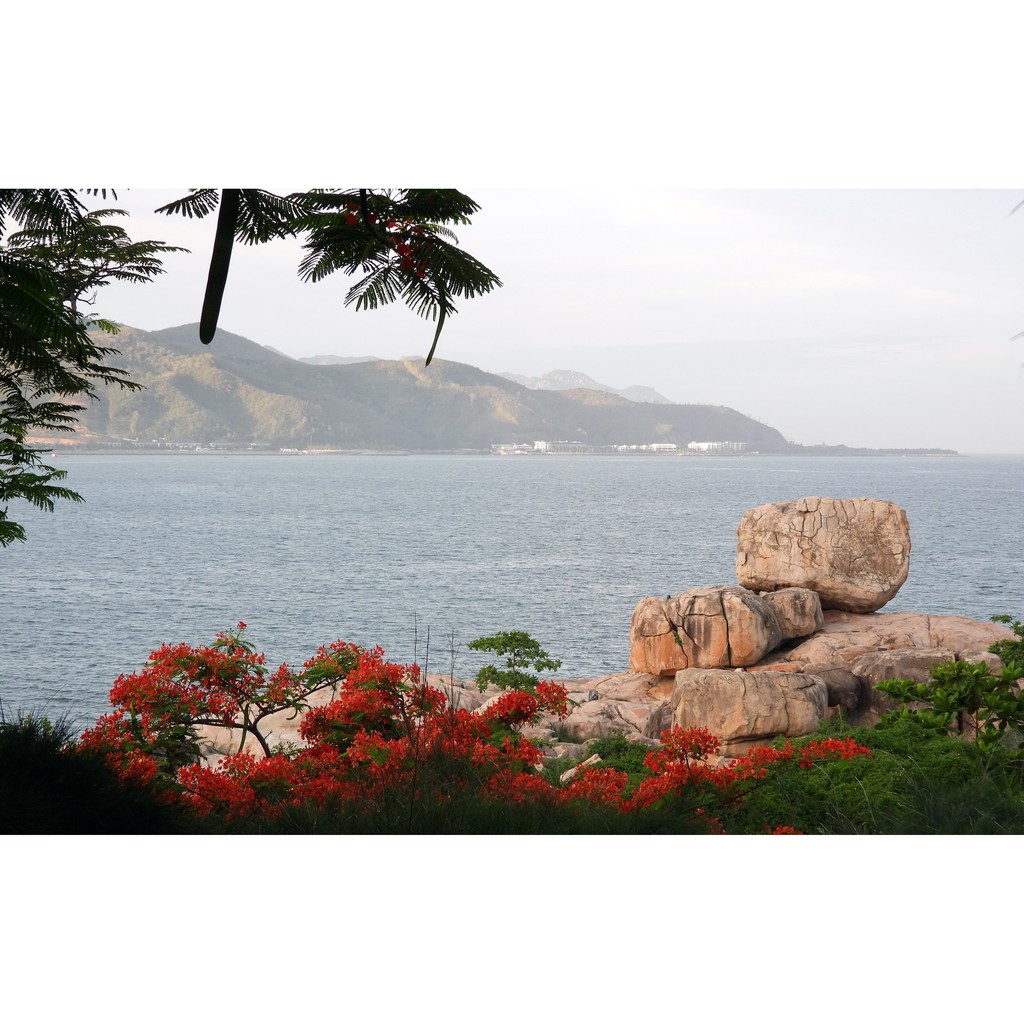 Sách: Nha Trang mùa đẹp nhất
