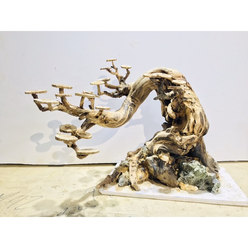 Lũa Bonsai cho bể 60-80