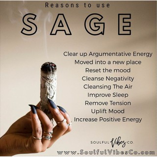 XÔ THƠM TRẮNG - WHITE SAGE - Bó size tiêu chuẩn