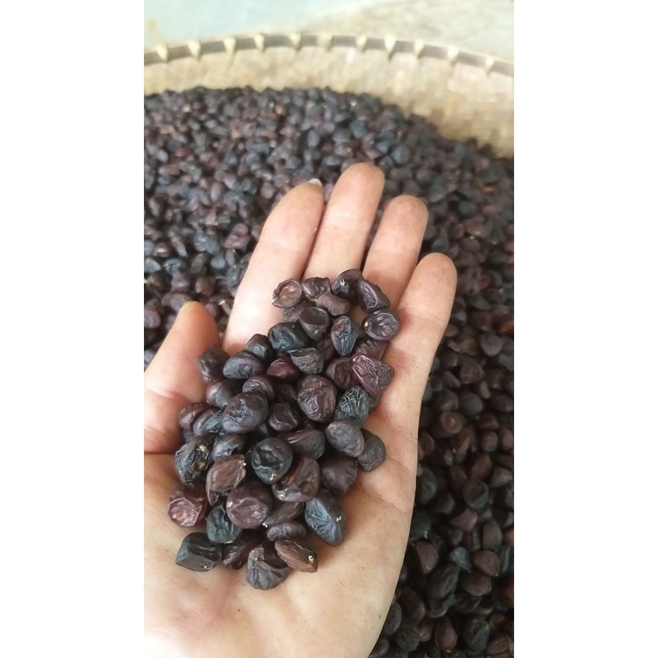 Hạt Dổi Rừng Hà Giang Gói 100Gr - DiTi Food | BigBuy360 - bigbuy360.vn