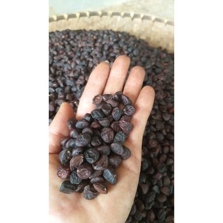 Hạt Dổi Rừng Hà Giang Gói 100Gr - DiTi Food