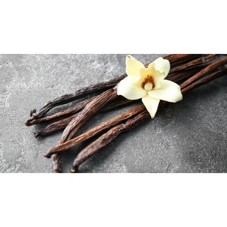 Hương Vani Rayners 28ml