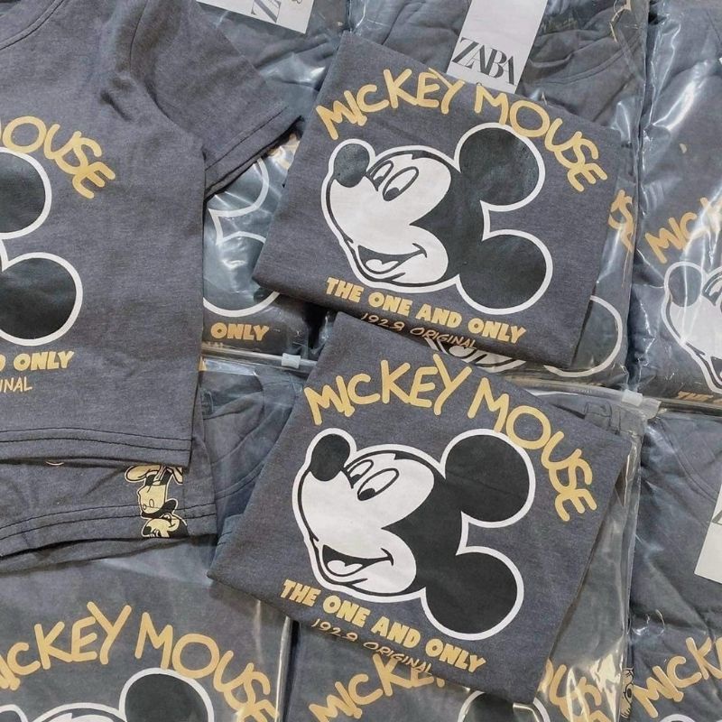 Bộ đồ cho bé trai mùa hè hình chuột MICKEY xám ZARA PAPAZUM
