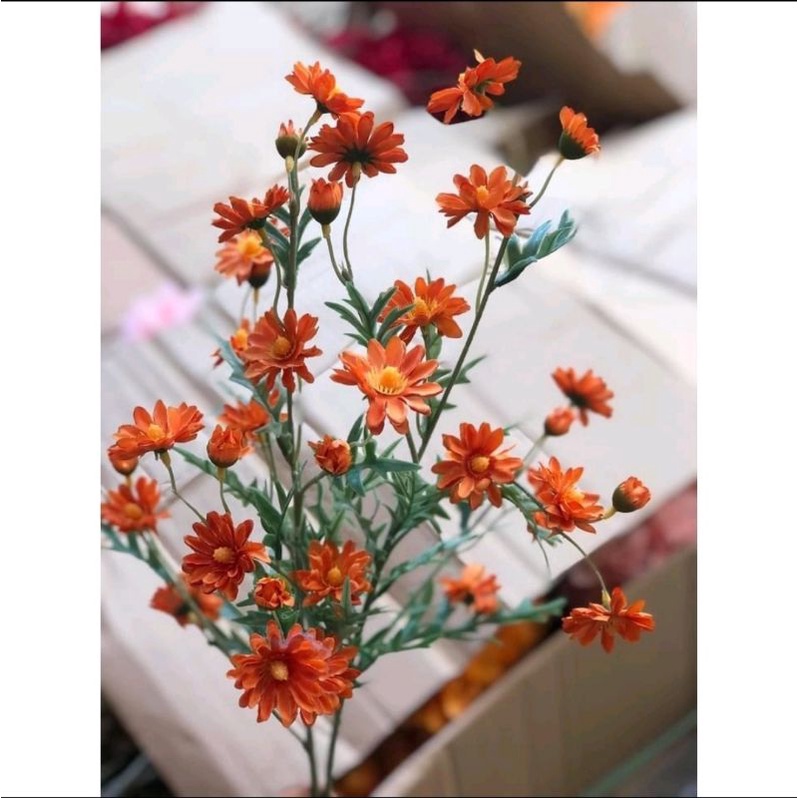 Cúc hoạ mi giả cành 75 cm hàng loại 1