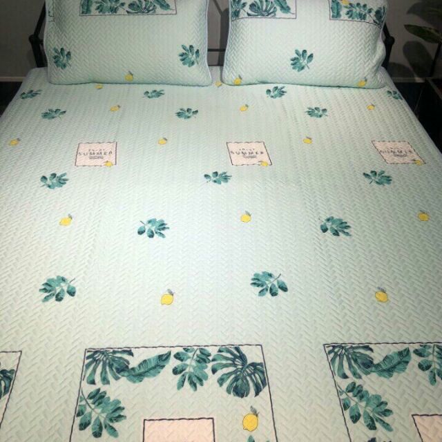 Combo 5 tencel + 1 đũi
