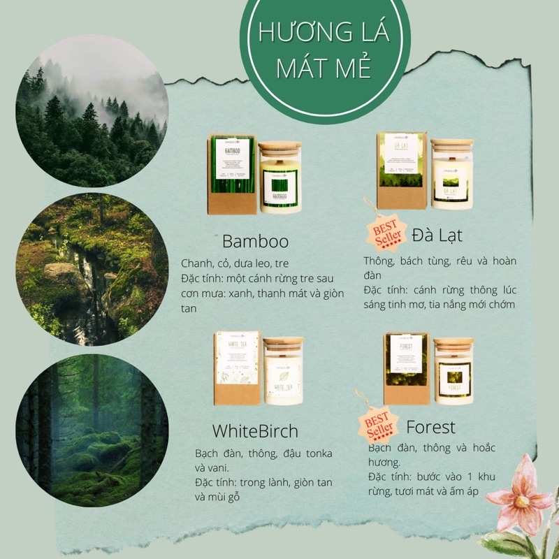 Nến thơm thiên nhiên Candle cup❤️FREESHIP Nến thơm Candle Cup thiên nhiên ( không khói - an toàn khi đốt)