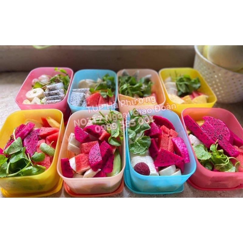 Set hộp trữ đông