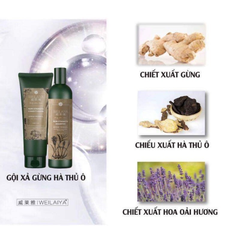 BỘ DẦU GỘI XẢ GỪNG HÀ THỦ Ô WEILAIYA - KÍCH THÍCH MỌC TÓC, PHỤC HỒI TÓC HƯ TỔN | BigBuy360 - bigbuy360.vn