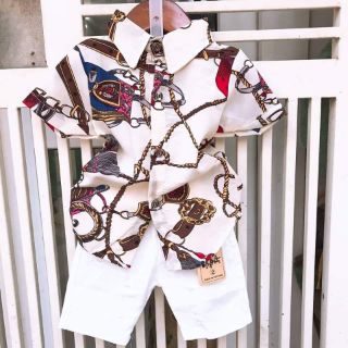 Set áo sơ mi lụa quần kaki (10-20kg)
