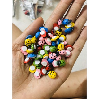 Combo 10 con bọ trang trí