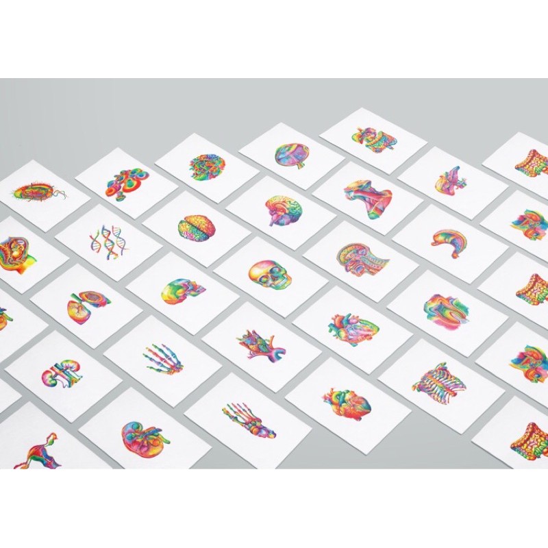 Sticker FA// Sticker flashcard anatomy