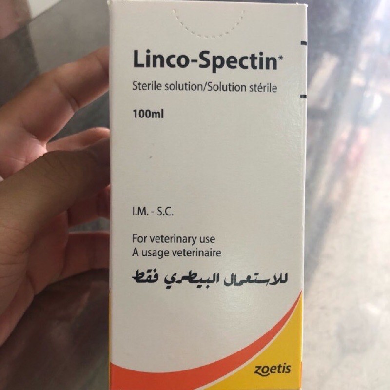Dung dịch Linco - Spectin , chai 100ml