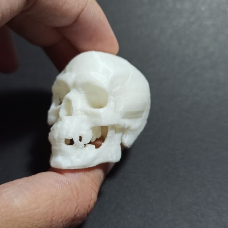 Mô hình đầu lâu xương sọ người cao 36mm chi tiết, trang trí kinh dị, chuồng bò sát, sa bàn, halloween