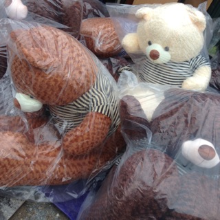 Teddy khổ vải m8