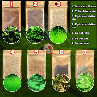 Hạt giống thủy sinh, cây thủy sinh - Trân Châu, Ngưu Mao Chiên, Cỏ Tình Yêu, Cỏ May Mắn, Cỏ Trái Tim .giongcaynhap
