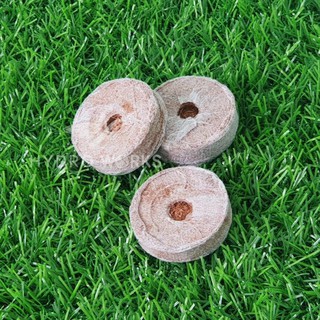 Viên Nén Ươm Hạt Xơ Dừa