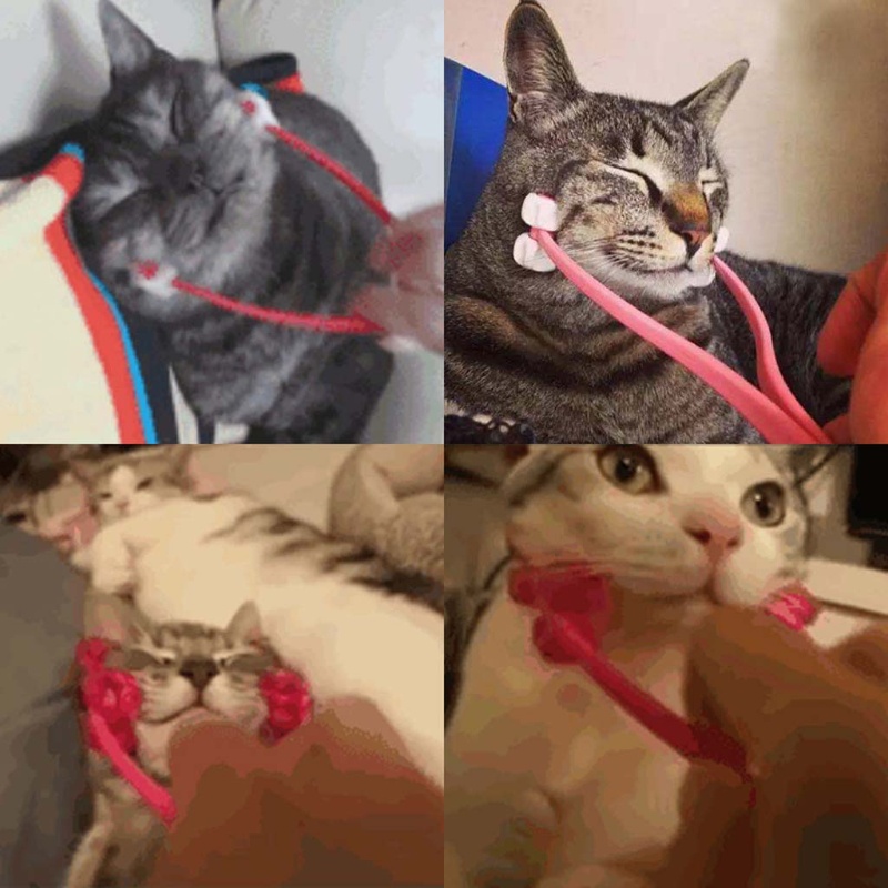 Dụng Cụ Mát Xa Mặt Và Chân Đa Năng Chăm Sóc Sức Khỏe Cho Mèo