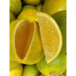 Cam Xoàn - Cam ngọt, nhiều nước