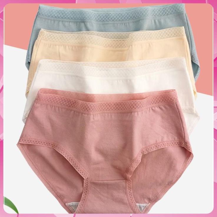 quần lót nữ, quần lót nữ cotton viền ren lớp lót kháng khuẩn
