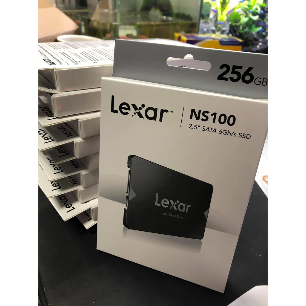 [Mã ELMS05 giảm 5% đơn 300k]Ổ cứng SSD Lexar NS100 256GB 2.5” SATA III (6Gb/s) - Chính hãng Mai Hoàng phân phối | BigBuy360 - bigbuy360.vn