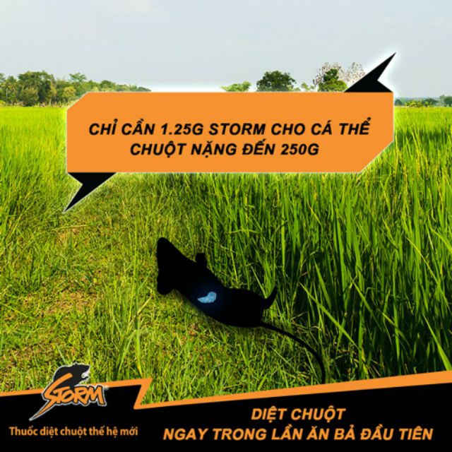 Thuốc Diệt Chuột Thế Hệ Mới STORM ( Gói 20 Viên)