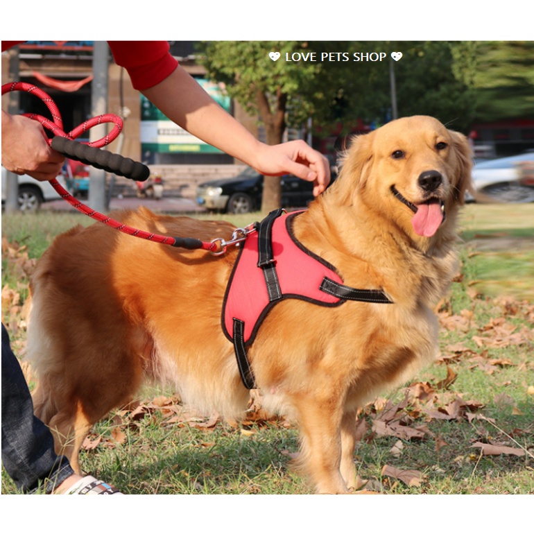 ĐAI YẾM NGỰC CHO CHÓ CÓ ĐỆM LƯNG (KHÔNG CÓ DÂY DẮT) - LOVE PETS SHOP